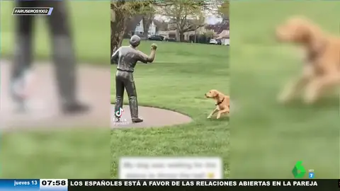 El entrañable vídeo viral de un perro que juega con un estatua creyendo que le va lanzar una pelota