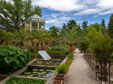 Jardín botánico de Padua, en Italia