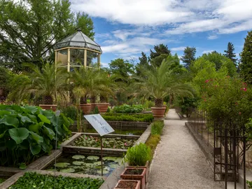 Jardín botánico de Padua, en Italia Jardín botánico de Padua, en Italia