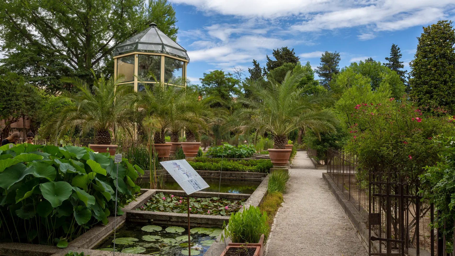 Jardín botánico de Padua, en Italia