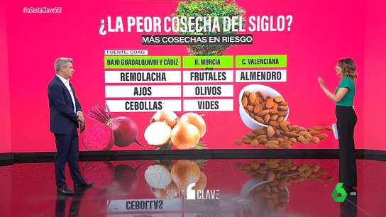 CLAVE Sequia CLAVE Sequia