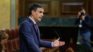 El presidente del Gobierno, Pedro Sánchez, informa al Congreso de los Diputados