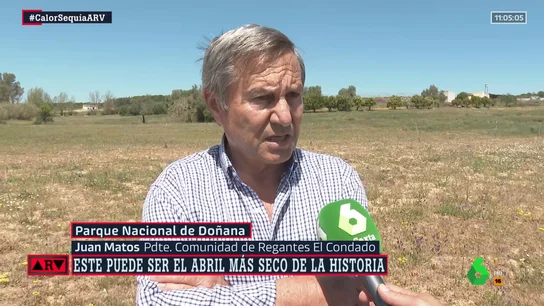 "Va a haber muchos problemas para vender la fruta": la advertencia de Regantes del Condado sobre la situación en Doñana "Va a haber muchos problemas para vender la fruta": la advertencia de Regantes del Condado sobre la situación en Doñana