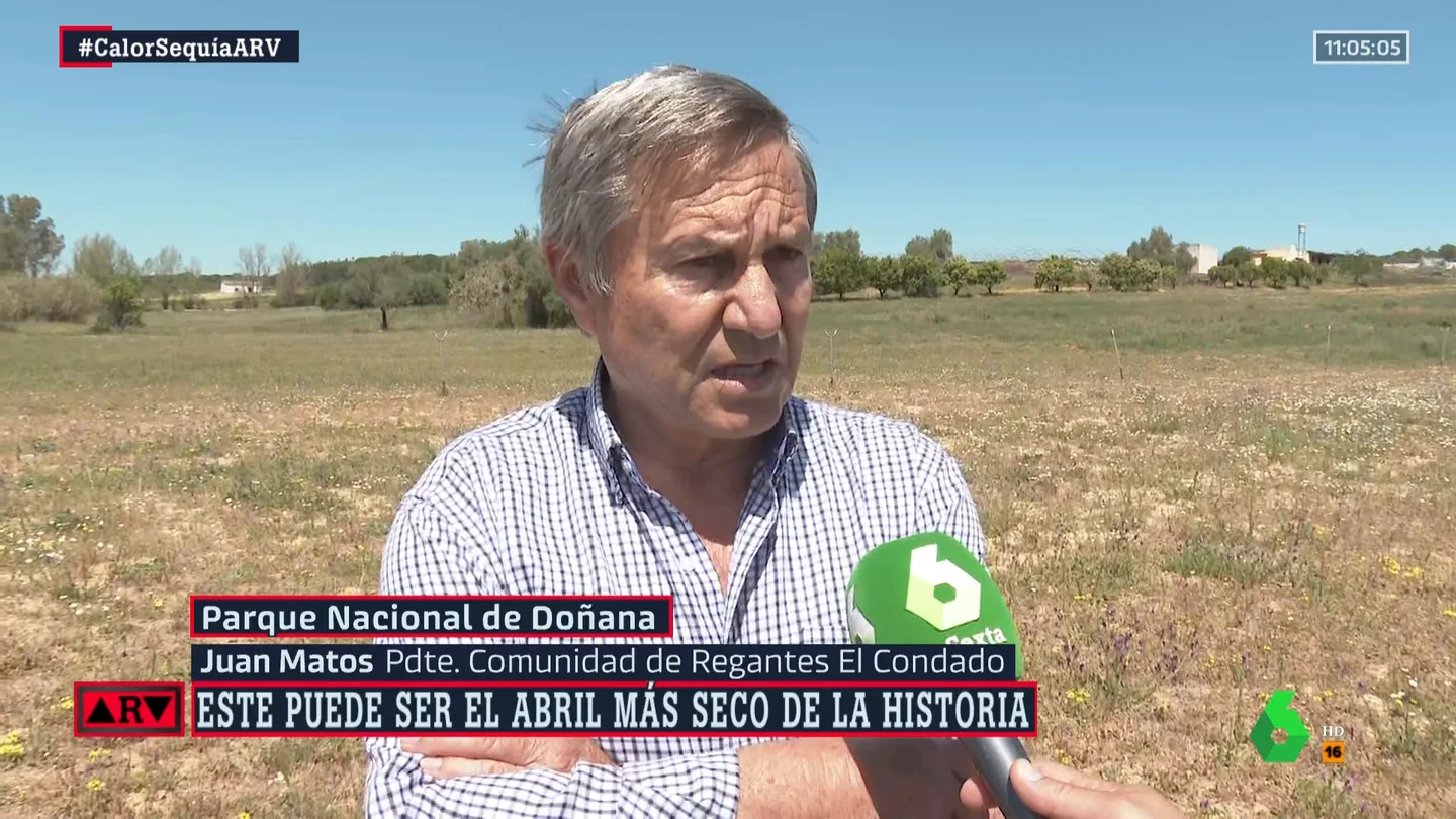 "Va a haber muchos problemas para vender la fruta": la advertencia de Regantes del Condado sobre la situación en Doñana "Va a haber muchos problemas para vender la fruta": la advertencia de Regantes del Condado sobre la situación en Doñana