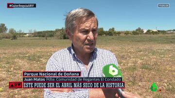 "Va a haber muchos problemas para vender la fruta": la advertencia de Regantes del Condado sobre la situación en Doñana