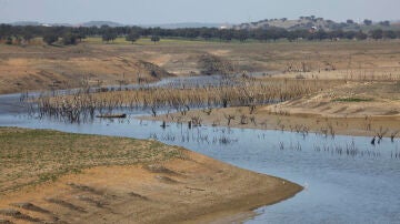 Escasez de agua en el embalse de Sierra Boyera en Bélmez (Córdoba). 