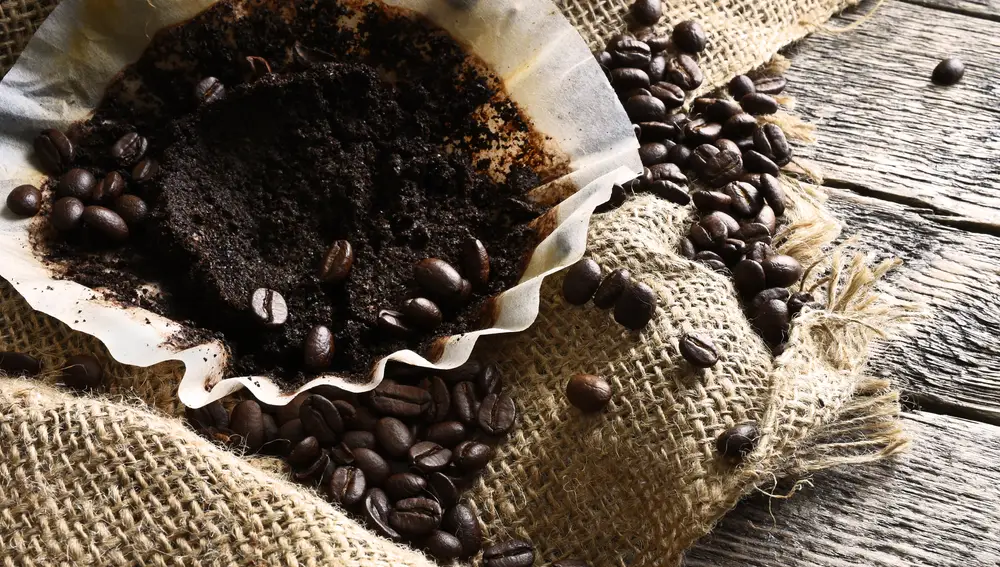 Posos de café Posos de café