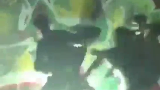 El vídeo de la brutal paliza a un menor al que quemaron con bengalas en Málaga permitió identificar a los 6 agresores El vídeo de la brutal paliza a un menor al que quemaron con bengalas en Málaga permitió identificar a los 6 agresores