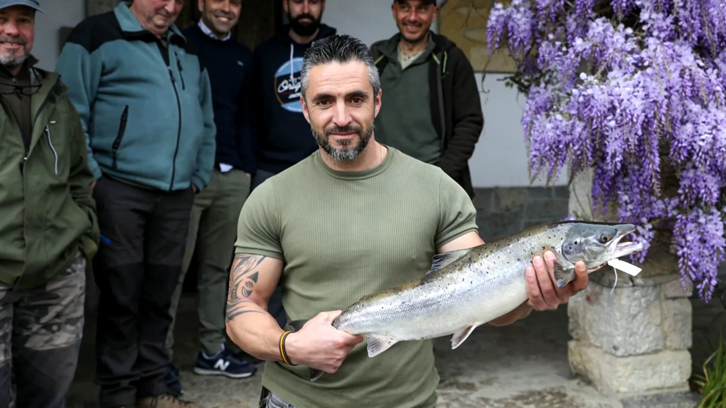 ¿Por qué este año no hay apenas salmones en los ríos de Cantabria y Asturias? ¿Por qué este año no hay apenas salmones en los ríos de Cantabria y Asturias?