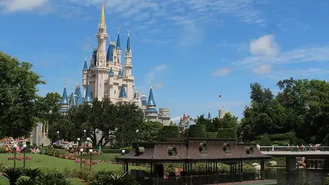 Disney World Disney World