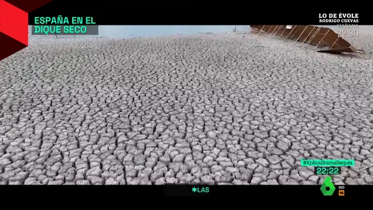 Los expertos alertan sobre los riesgos "letales" de la sequía y el calor, una "combinación explosiva" Los expertos alertan sobre los riesgos "letales" de la sequía y el calor, una "combinación explosiva"