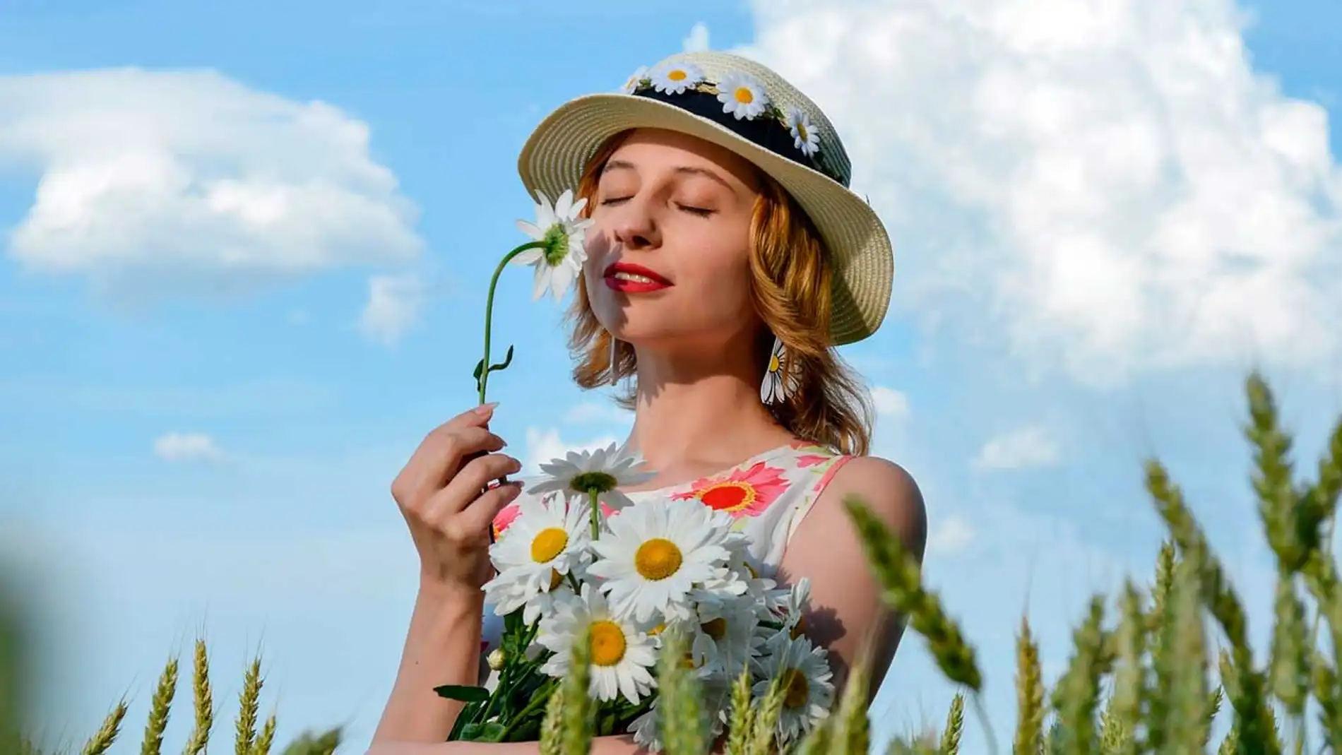 limpieza gadget alergia limpieza gadget alergia