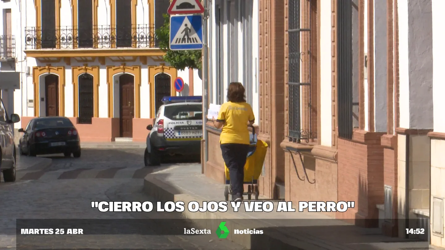 ataques perros ataques perros