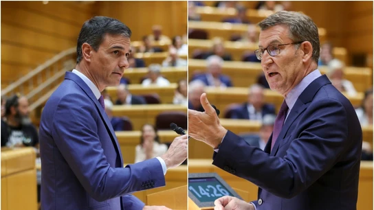 Pedro Sánchez y Alberto Núñez Feijóo, cara a cara en el Senado Pedro Sánchez y Alberto Núñez Feijóo, cara a cara en el Senado