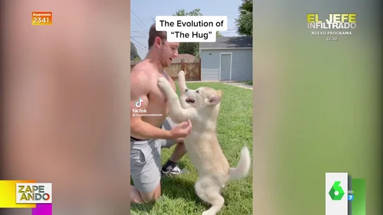 El divertido juego con su perro que termina en un intento para "no acabar en urgencias" El divertido juego con su perro que termina en un intento para "no acabar en urgencias"