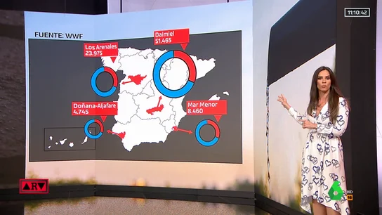 ¿Dónde hay más saqueo de agua en España? Estos son los cuatro puntos negros ¿Dónde hay más saqueo de agua en España? Estos son los cuatro puntos negros