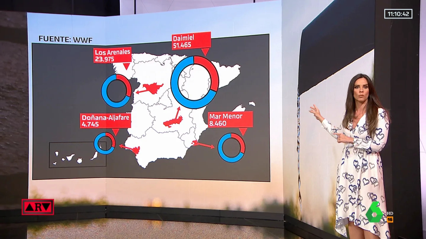¿Dónde hay más saqueo de agua en España? Estos son los cuatro puntos negros ¿Dónde hay más saqueo de agua en España? Estos son los cuatro puntos negros