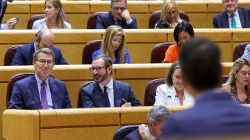 Feijóo sonríe durante la intervención de Pedro Sánchez en el Senado