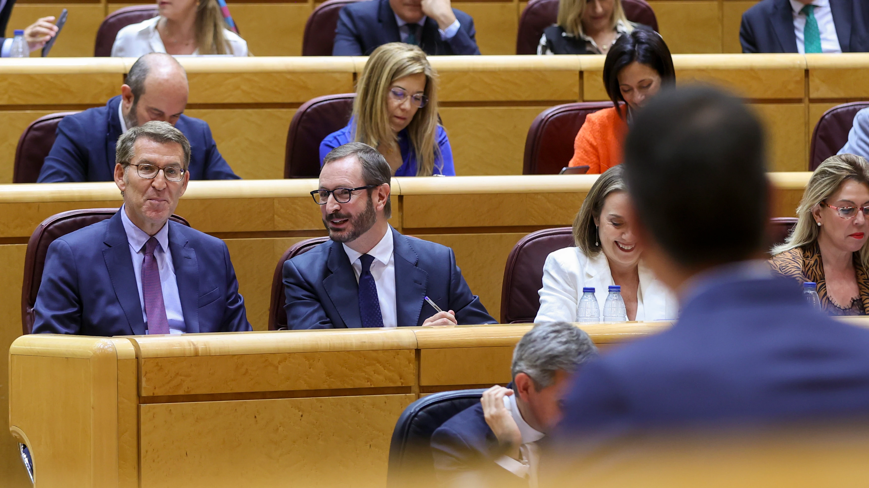 Feijóo sonríe durante la intervención de Pedro Sánchez en el Senado