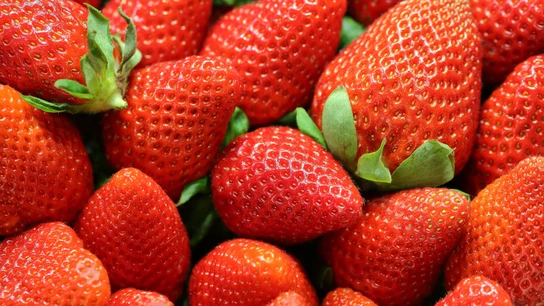 9 alimentos para sobrellevar la astenia primaveral: el 40% de la población española sufre este trastorno temporal 9 alimentos para sobrellevar la astenia primaveral: el 40% de la población española sufre este trastorno temporal