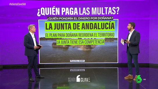 El que tiene la competencia, paga: el Estado podría detraer de la financiación a Andalucía la posible multa por Doñana El que tiene la competencia, paga: el Estado podría detraer de la financiación a Andalucía la posible multa por Doñana