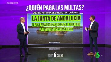 El que tiene la competencia, paga: el Estado podría detraer de la financiación a Andalucía la posible multa por Doñana
