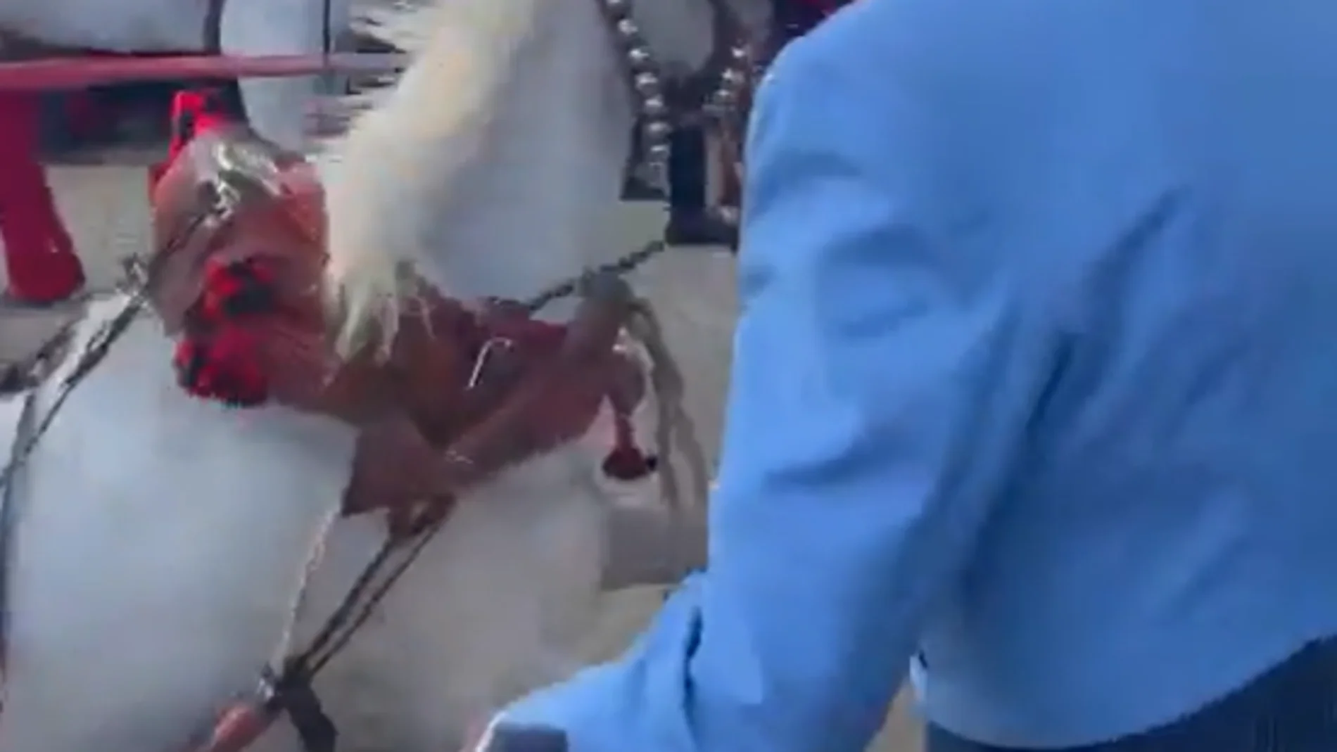 Levantan a patadas a un caballo durante la Feria de Sevilla