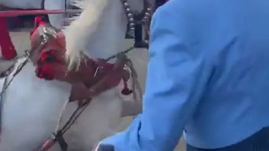 Levantan a patadas a un caballo durante la Feria de Sevilla