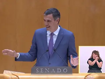 &quot;Bailaba una mezcla de merengue y reguetón&quot;: Sánchez no puede evitar reírse tras hacerle esta crítica a Feijóo en el Senado