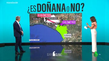 Análisis de cómo afecta a Doñana la ley de la Junta