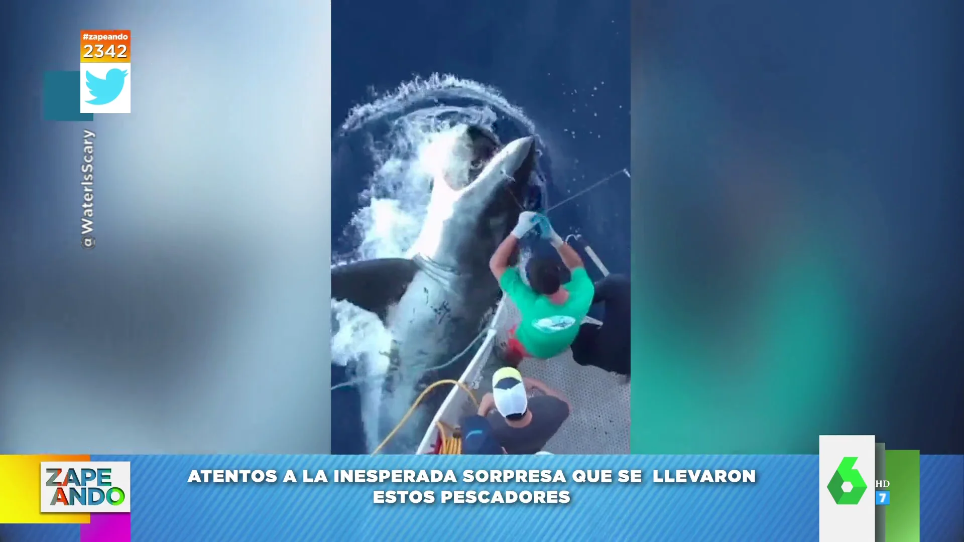 El susto de unos pescadores: aparece un tiburón de la nada para comerse su captura