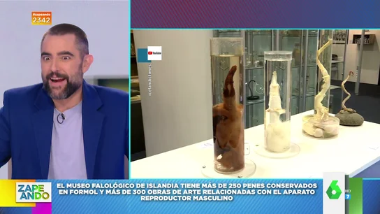 "Un arca de Noé hecha por viciosos": así es el museo dedicado al pene más importante del mundo "Un arca de Noé hecha por viciosos": así es el museo dedicado al pene más importante del mundo