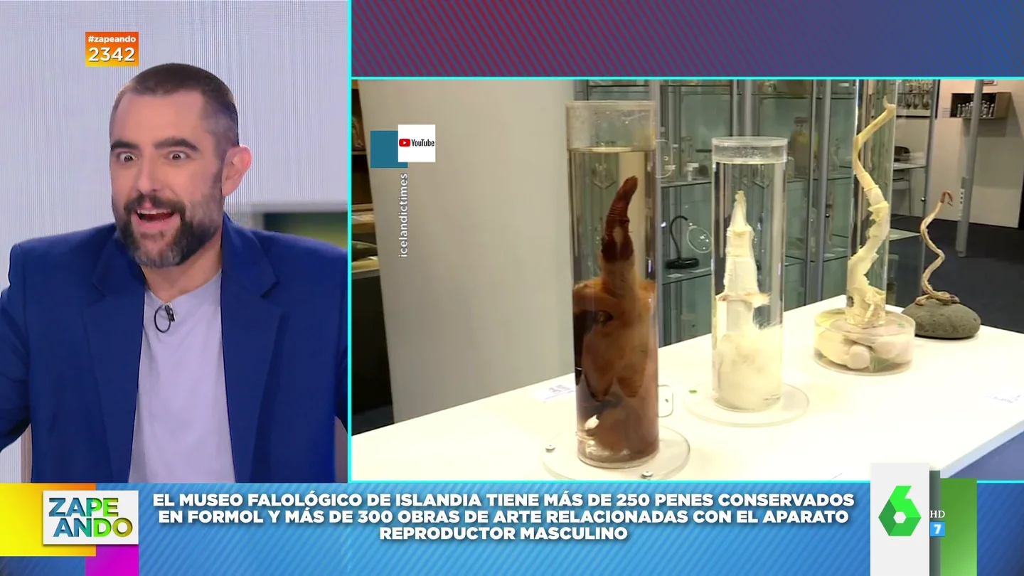 "Un arca de Noé hecha por viciosos": así es el museo dedicado al pene más importante del mundo "Un arca de Noé hecha por viciosos": así es el museo dedicado al pene más importante del mundo