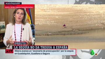 Ribera avanza un "escenario de preocupación" por la sequía en Guadalquivir, Guadiana o Segura