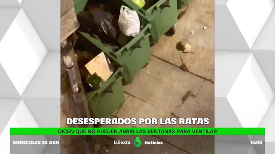RATAS OURENSE RATAS OURENSE
