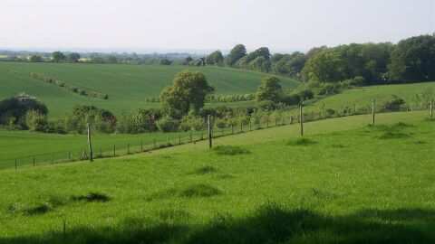 Kent Downs