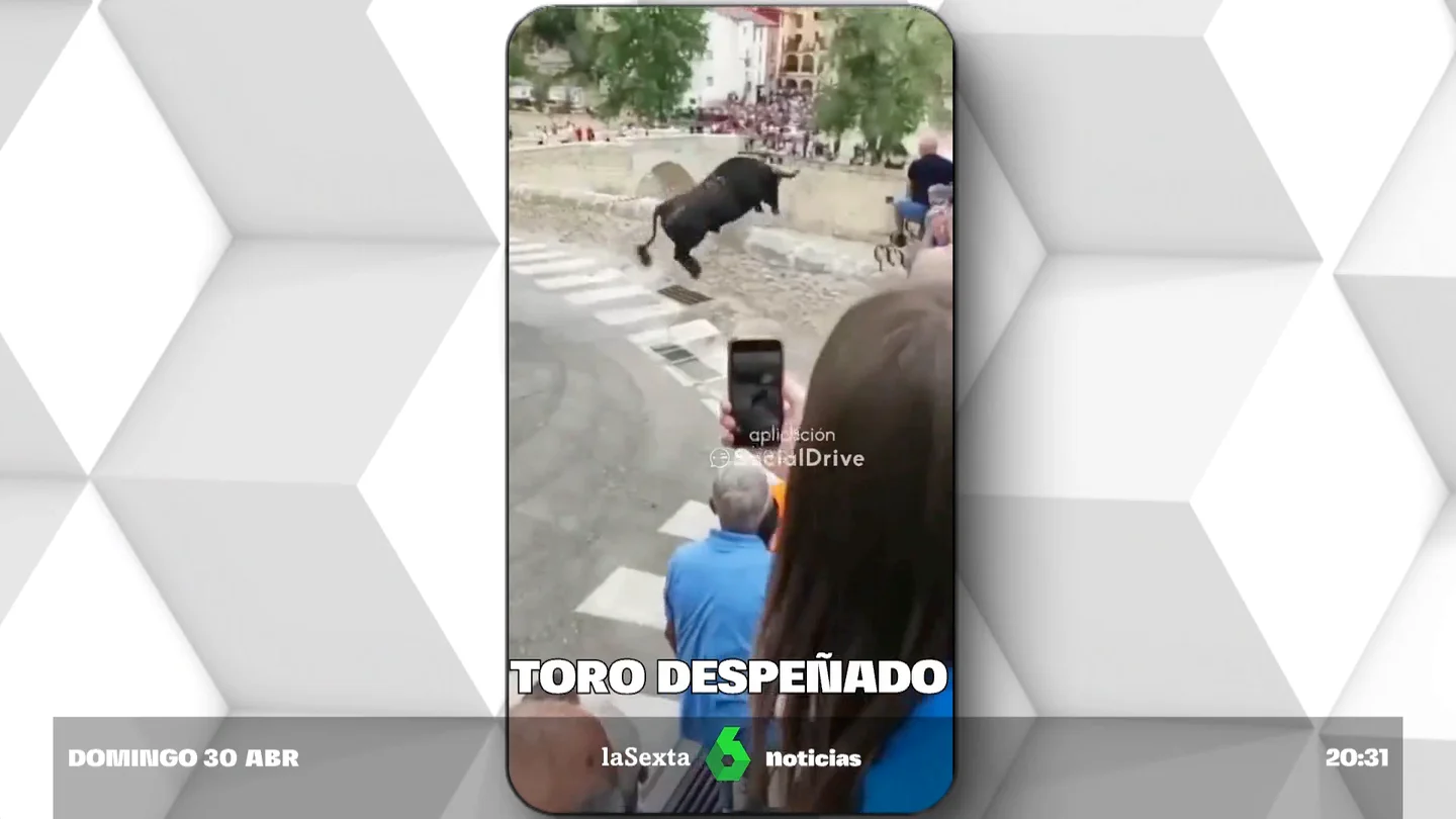 Un toro muere tras precipitarse por una altura de 15 metros en el Ontinyent Un toro muere tras precipitarse por una altura de 15 metros en el Ontinyent