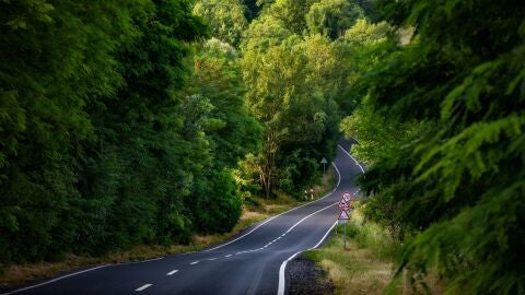 Rutas