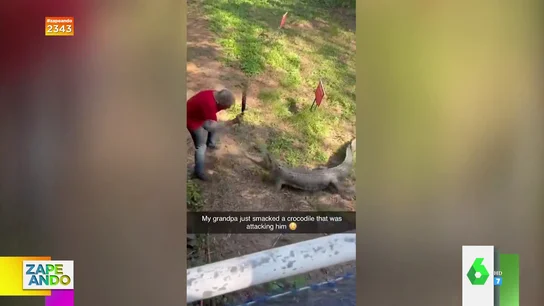 Ni un paraguas ni un rifle: el arma 'definitiva' que usa un hombre para defenderse del ataque de un cocodrilo Ni un paraguas ni un rifle: el arma 'definitiva' que usa un hombre para defenderse del ataque de un cocodrilo