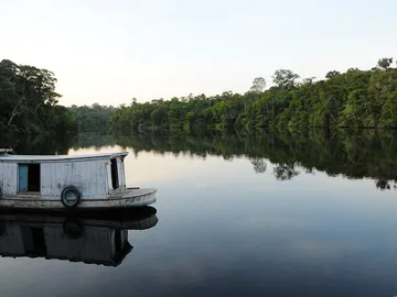 Los arboles del Amazonas meridional y occidental estan en mayor riesgo de mortalidad por sequia Los arboles del Amazonas meridional y occidental estan en mayor riesgo de mortalidad por sequia