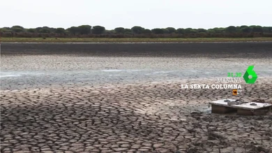 laSexta Columna Doñana laSexta Columna Doñana