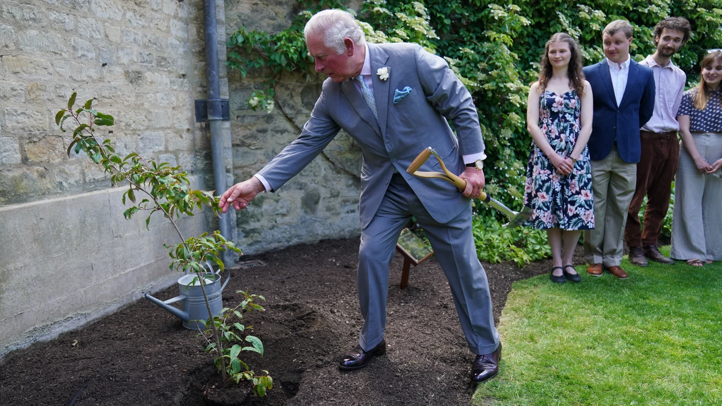 Carlos III, aún como príncipe de Gales, planta un árbol en una visita al Sommerville College de Oxford en 2021 Carlos III, aún como príncipe de Gales, planta un árbol en una visita al Sommerville College de Oxford en 2021