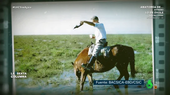 Federico Valverde desvela cómo engañó su padre a Franco para comprar Doñana y declararlo parque nacional Federico Valverde revela a laSexta Columna cómo fue el plan de su padre, el naturalista José Antonio Valverde, para concienciar a la opinión pública internacional, y a Franco, en "el primer crowdfunding para la defensa de la naturaleza".