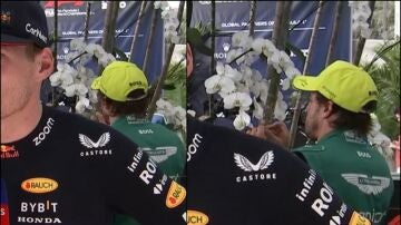 Fernando Alonso olfateando flores