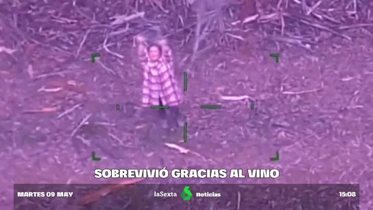 Perdida durante días en un inhóspito bosque, sobrevive a base de vino y caramelos Perdida durante días en un inhóspito bosque, sobrevive a base de vino y caramelos