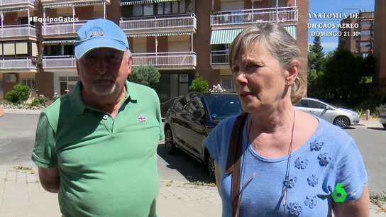 El descontento de los vecinos con la colonia felina de su barrio: "Huele mal" El descontento de los vecinos con la colonia felina de su barrio: "Huele mal"