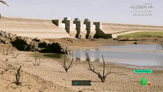 "Ya no vamos a tener primavera; en pocos días pasaremos de frío a calor y viceversa": la seria advertencia de los expertos "Ya no vamos a tener primavera; en pocos días pasaremos de frío a calor y viceversa": la seria advertencia de los expertos