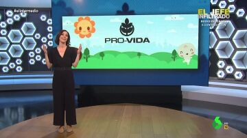 Cristina Gallego, sobre la subvención a una asociación antiabortista en Andalucía: "Gracias a Juanma Moreno viven de p*** madre"