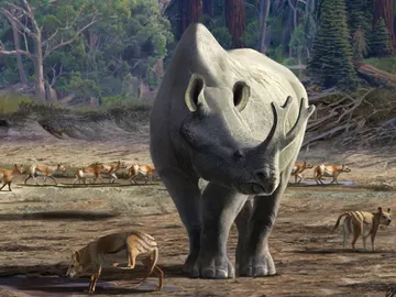 Ilustración de un brontoterio en un entorno prehistórico Ilustración de un brontoterio en un entorno prehistórico