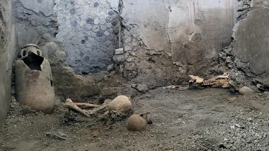 Dos esqueletos de habitantes de Pompeya, que murieron debido al enorme terremoto que acompañó a la erupción, han salido a la luz Dos esqueletos de habitantes de Pompeya, que murieron debido al enorme terremoto que acompañó a la erupción, han salido a la luz